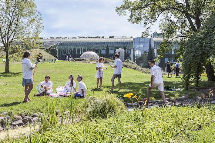 Foto del giardino botanico dell'Università di Varsavia